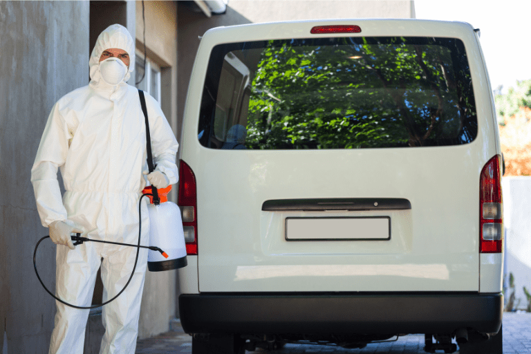 Emergency Pest Control Parramatta