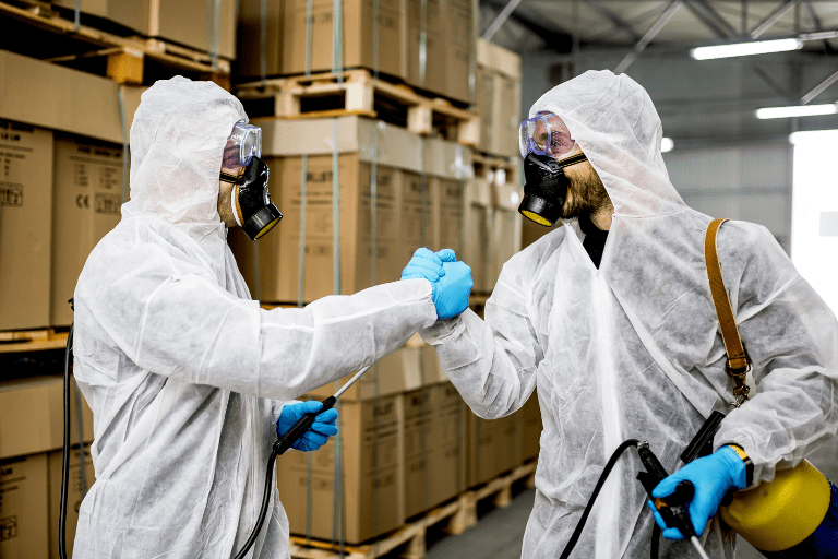 Parramatta Pest Control Experts
